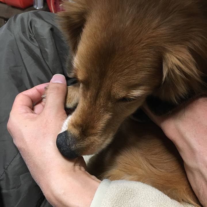 2e5a329c b91a 461a 9f38 790da55dacce 1613916740437