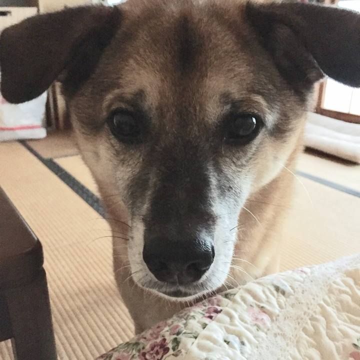 2e5a35c5 12d3 484d a01a c25fe9f33753 1509234568077