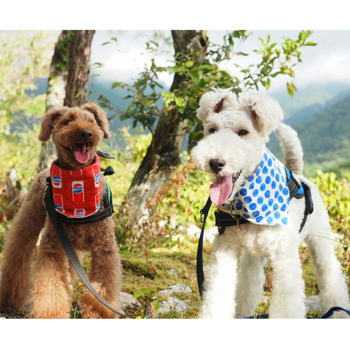 2e5a579e be9f 4a16 818e ec6be6b6bc33 1534143149882