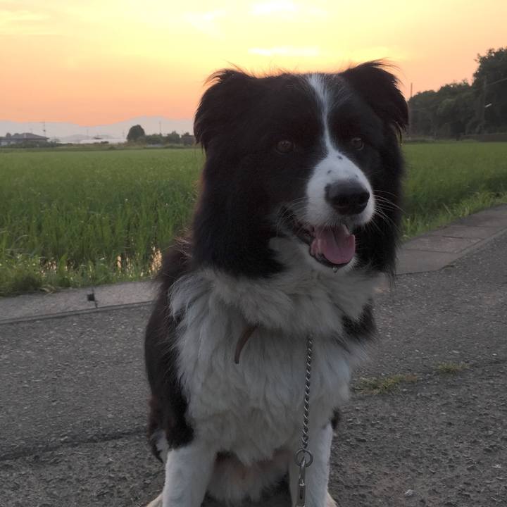 2e5a5fbf 403a 4974 afe2 717921e96a1a 1532474516759