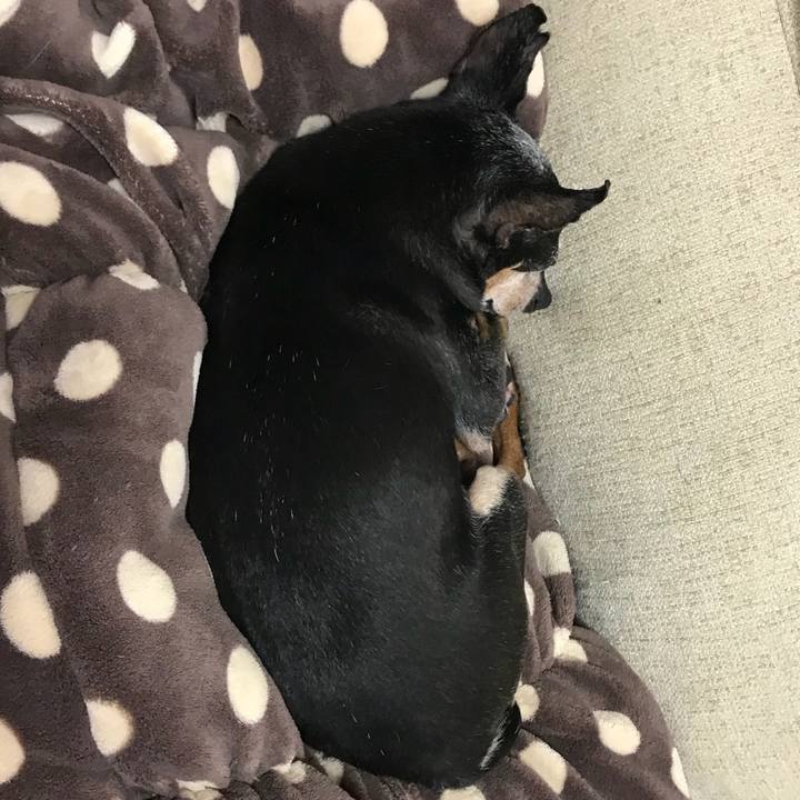 2e5a7252 0910 47f8 9d17 b529765c7469 1568467542522