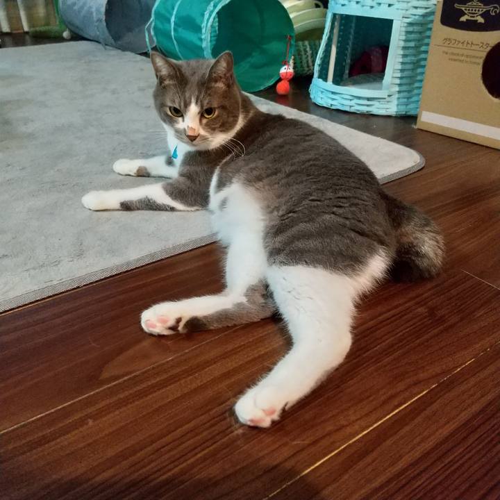 2e5a7ba5 2614 47dd a78d 371b8772f7a4 1633038097687