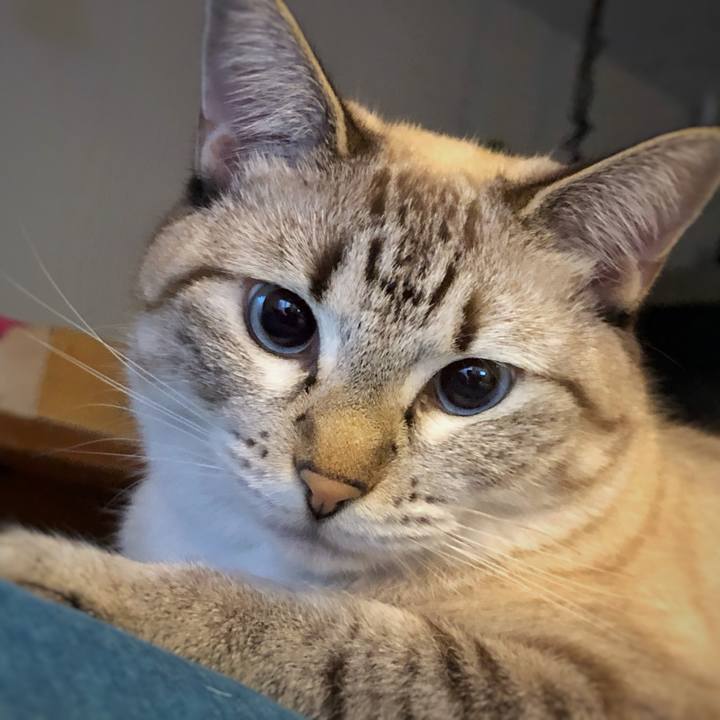 2e5addef 95f3 460e a86c e7bbd9310142 1761257191654