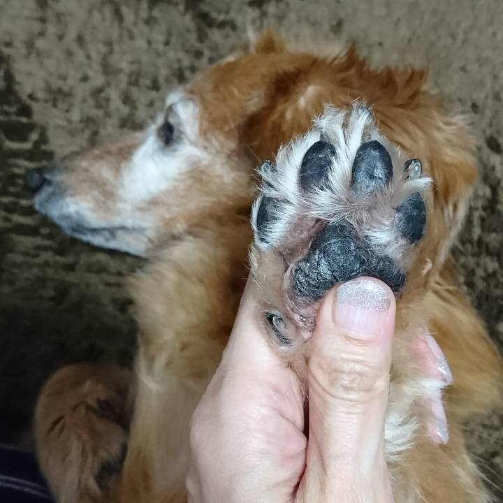 2e5afc0e 8f91 4d39 b046 d84bc54303f8 1514877455293