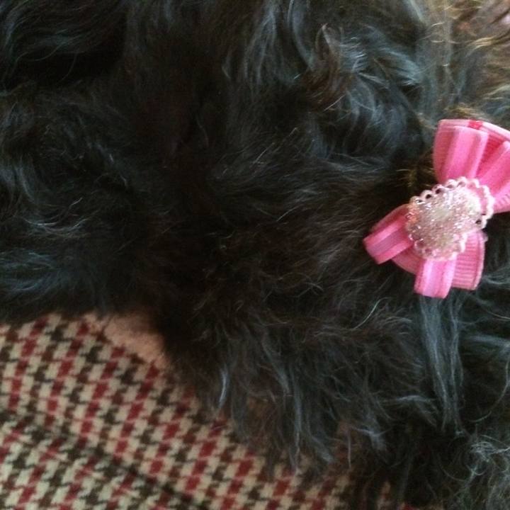 2e5b62ce 6197 490c 98f7 847407f325a8 1512110263999