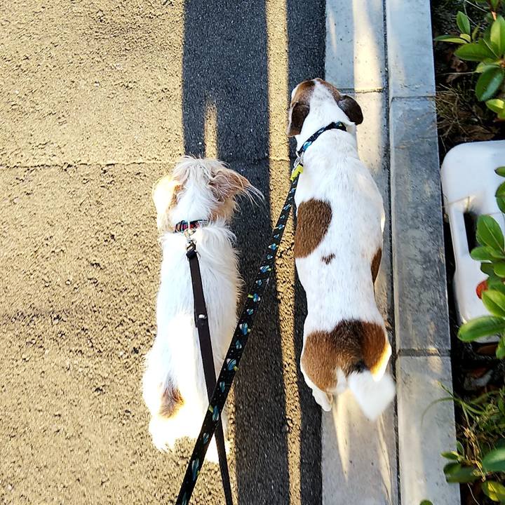 2e5b6715 6149 4509 9849 0fd8719130b9 1560687428790