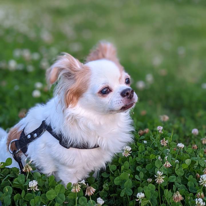 2e5b742f ef0f 4a10 a565 87194ca79451 1653818260353