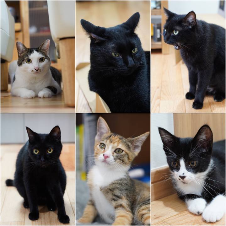 2e5b8d5d f31e 44e4 80d7 0ec48e2977ce 1568764748842