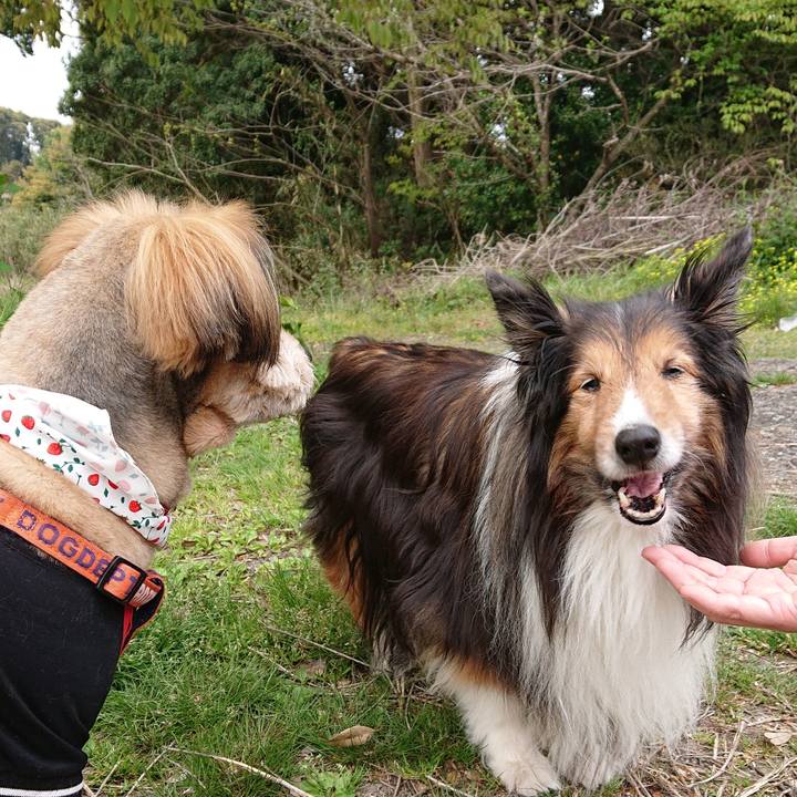 2e5bb899 981b 4f12 a823 a050b302deaf 1579617317869