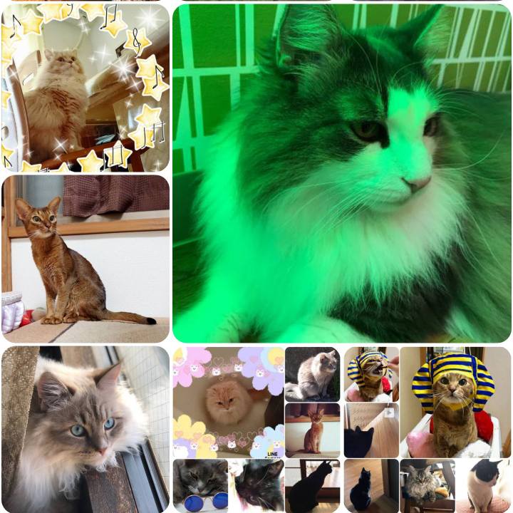 2e5bd78d c75c 45f5 b311 48dcbe792c5b 1555719956940