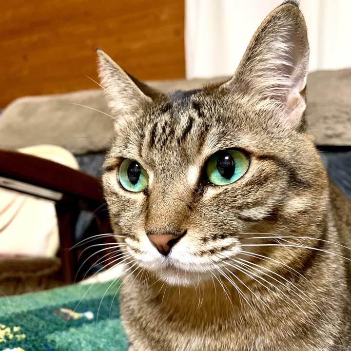 2e5be820 705f 4b28 95f1 d6064c6ee282 1581162608584