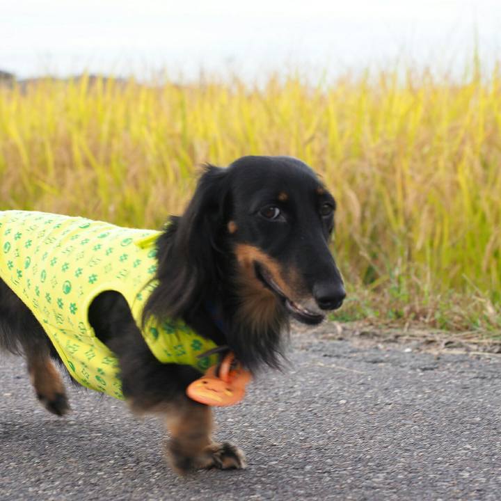 2e5bf44c 8831 4e2b 8ca2 23ba1ec91940 1571560179728