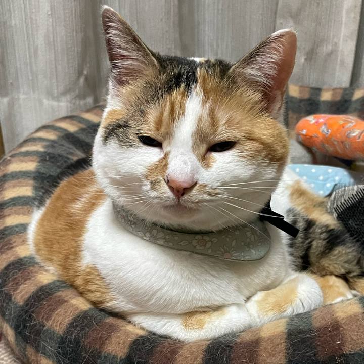 2e5c0dd5 e0af 4ae7 b105 6ebdc546867b 1679575748299