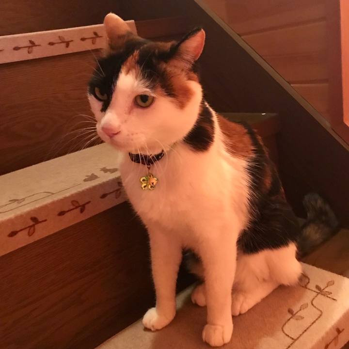 2e5c0f09 2642 41e7 b0cf e6c1e5f36fe3 1558701319646