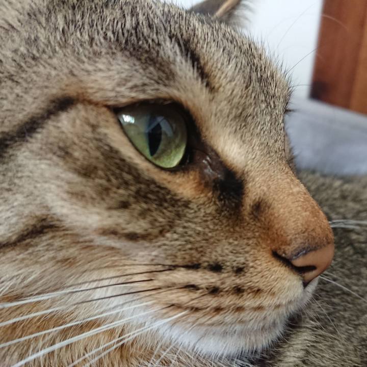 2e5c3ad6 5d79 4c7e bb19 2db46366443c 1578711064416