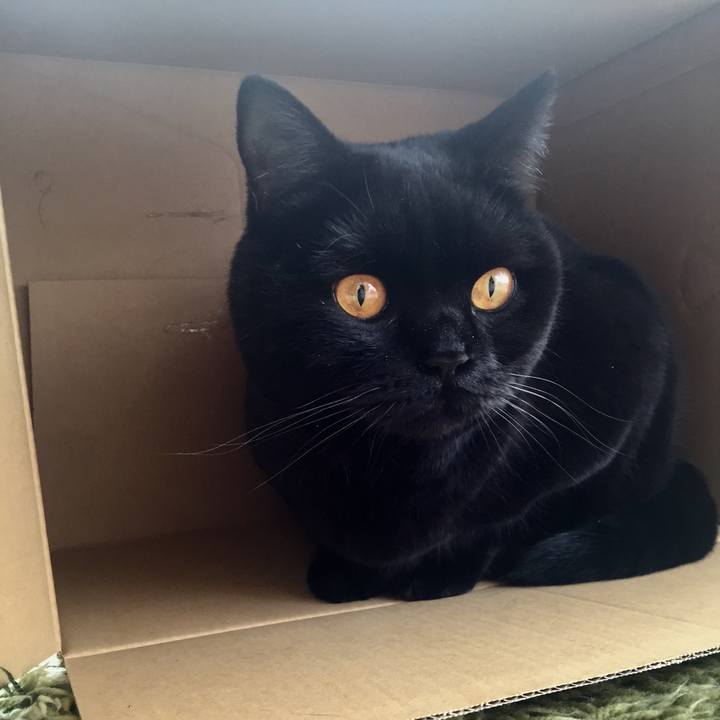 2e5c8f4e 25c1 41f6 8a67 2f3523a3c0f6 1521360801744