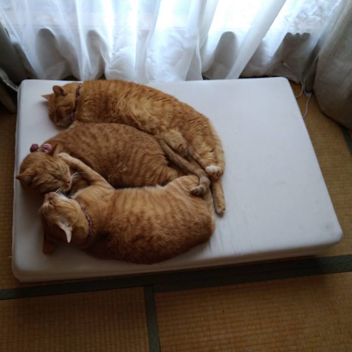 2e5cdea4 2c2b 4293 8ab2 06529a99c727 1623741979521