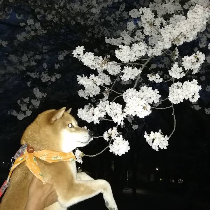 2e5cf751 f92a 49be 8518 1adfc76ebac7 1648478027358