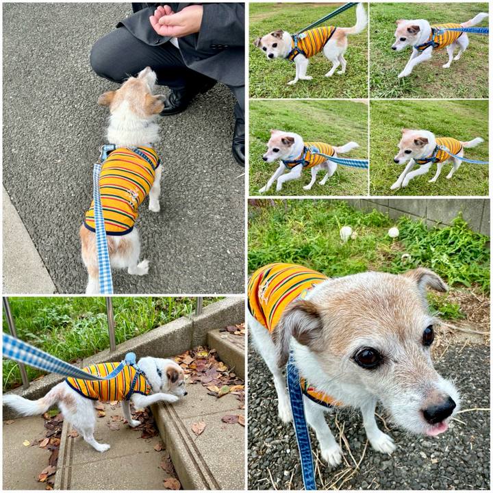 2e5cf89b 423c 469c be66 1682e337f276 1727650803077