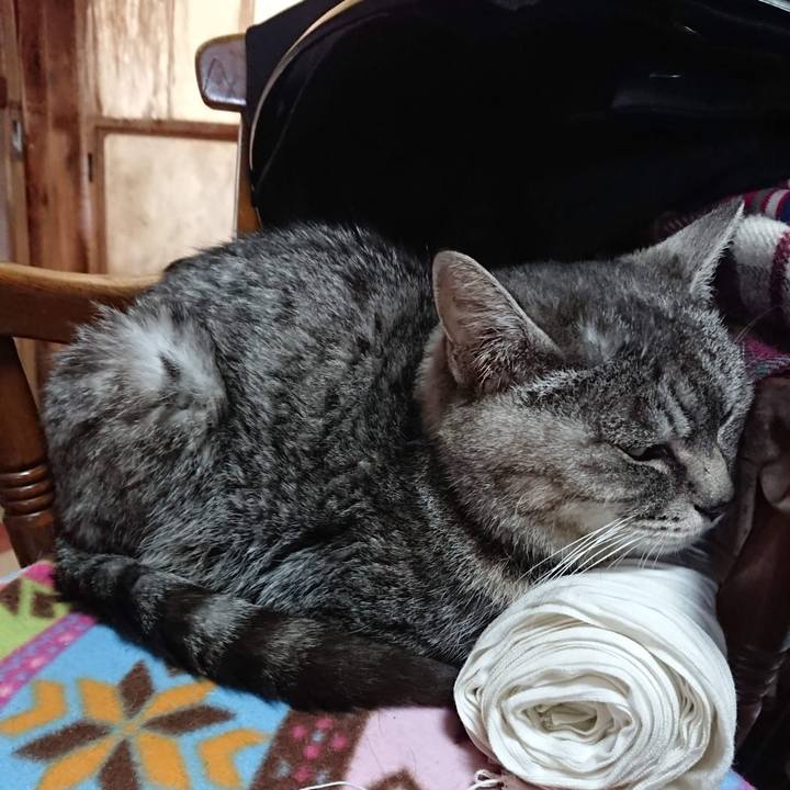 2e5cfbb6 1842 49b7 8b24 5d170f5ef40b 1606422732295