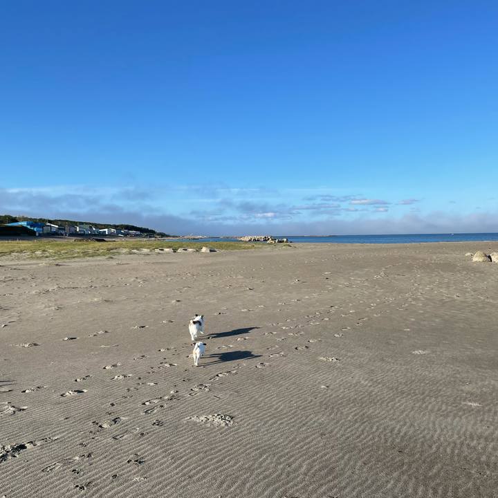 2e5d2fe1 bf4e 4a5c b86b 7550c51372d2 1634169076736