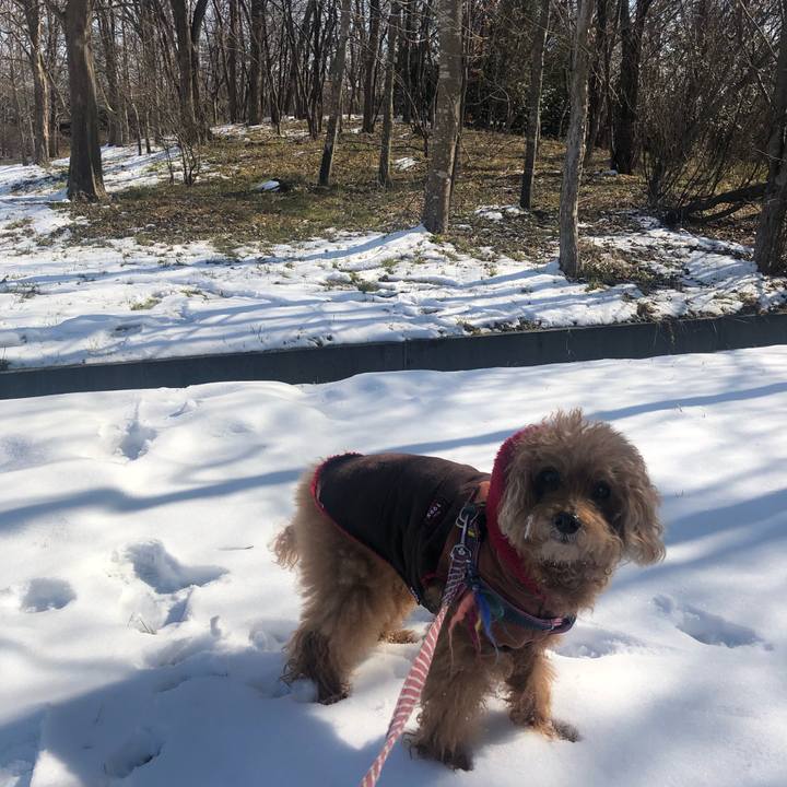 2e5d3beb 74fc 48b0 8a5c f9c11d12190c 1644637945587