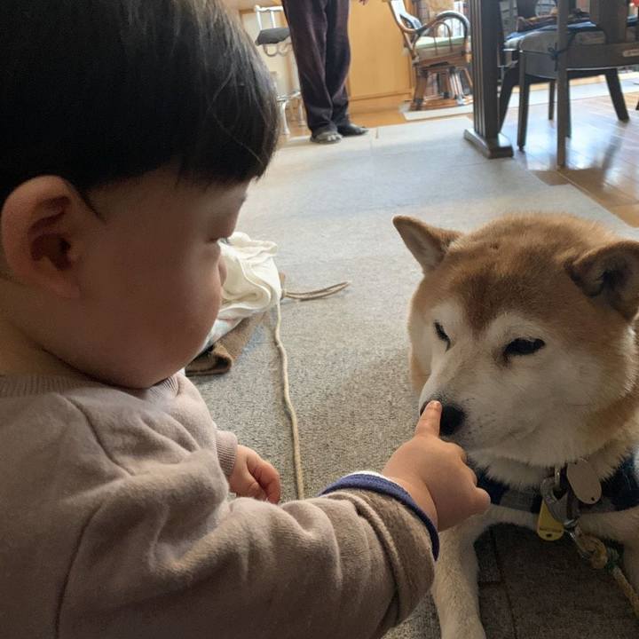 2e5d586c c867 4eed 9b84 b17ca973c62a 1611812306849