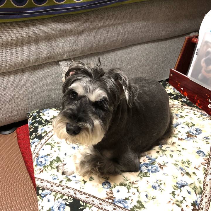 2e5d6a57 9b33 4bbf a182 6534e71c8a8d 1661865843288