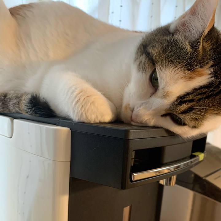 2e5da31c 2faa 42ed 9eb6 e30519dc2091 1638938050832