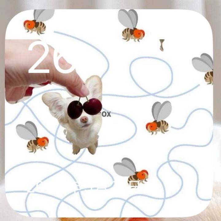 2e5da4a2 7399 42d9 8b8b 5a0a3671ad86 1748252540935