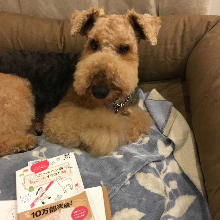 2e5da506 3725 43c3 8105 d74c05855086 1539613072254