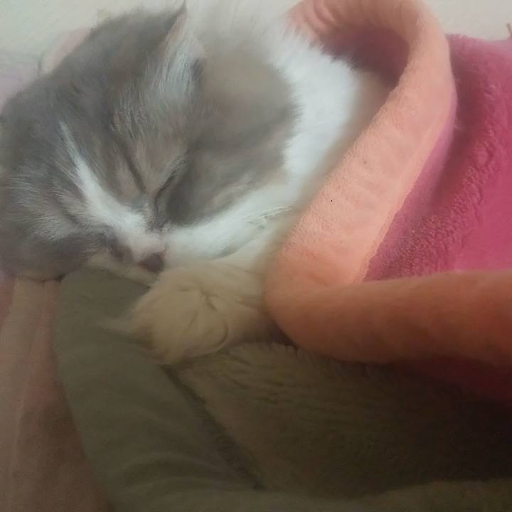 2e5da860 e3a8 444f 8276 0816d09b94a7 1745932320794