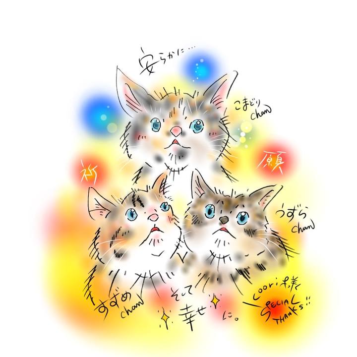 2e5db22f bc9e 4a3a 8ef1 6254fc2bfa18 1607623488837