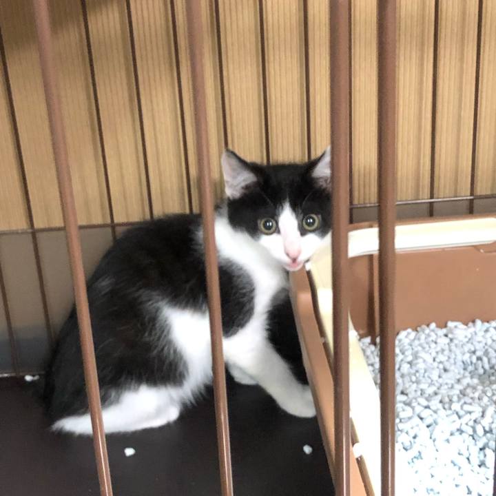 2e5dcab3 e7d4 470b acec fbcabdbc4292 1611399046265