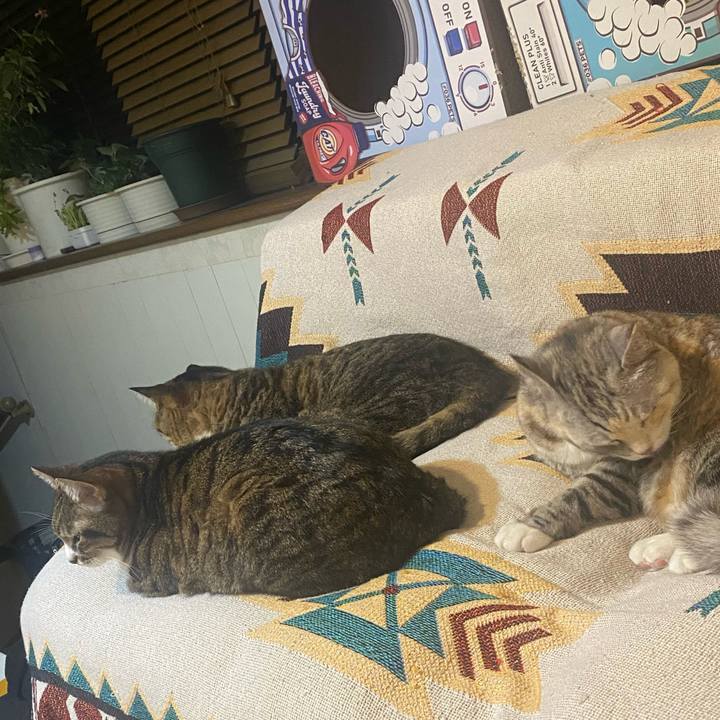 2e5de667 cdf3 4cc4 87fa 09614c29673e 1716130456621