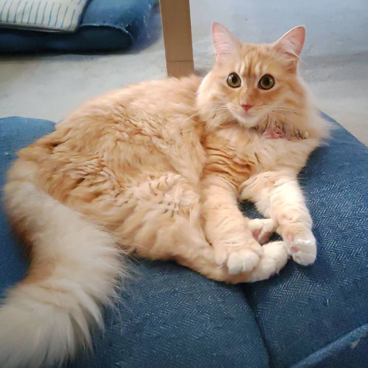 2e5dee86 5cf1 4ca8 9af2 0ff46c8bbaaf 1688939922936