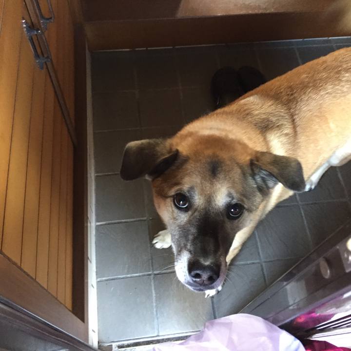 2e5df557 ee08 49d4 8fe6 417fbe5c1215 1516337211065