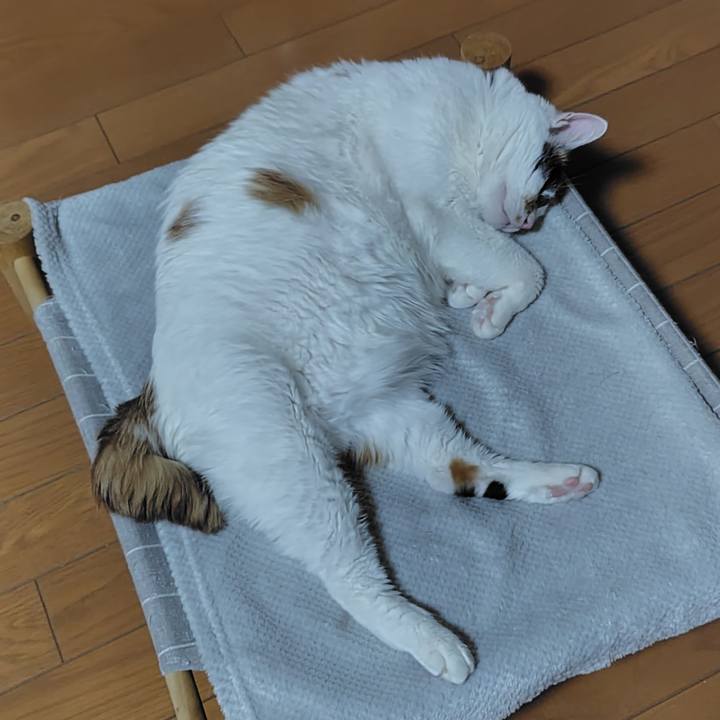 2e5e0a22 a932 4cde 8df5 68980cea0f9c 1734610966909