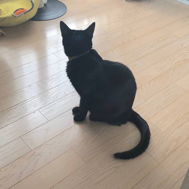 2e5e208e 7f0c 413e a2cd 0e98ecb3cb99 1532827007523