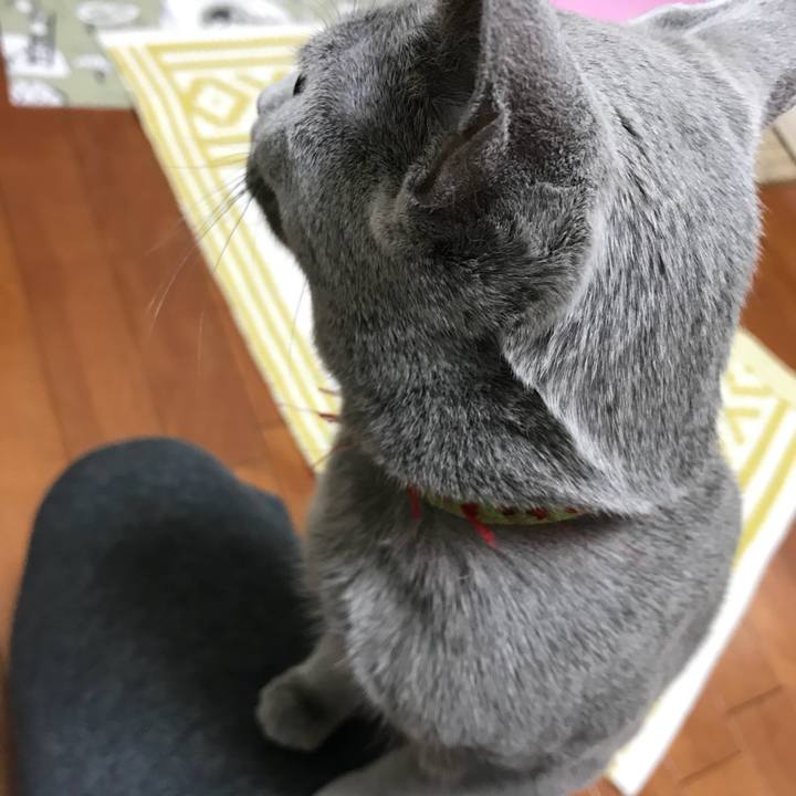 2e5e4483 863a 4aba b757 5492f568d7b5 1511881586937