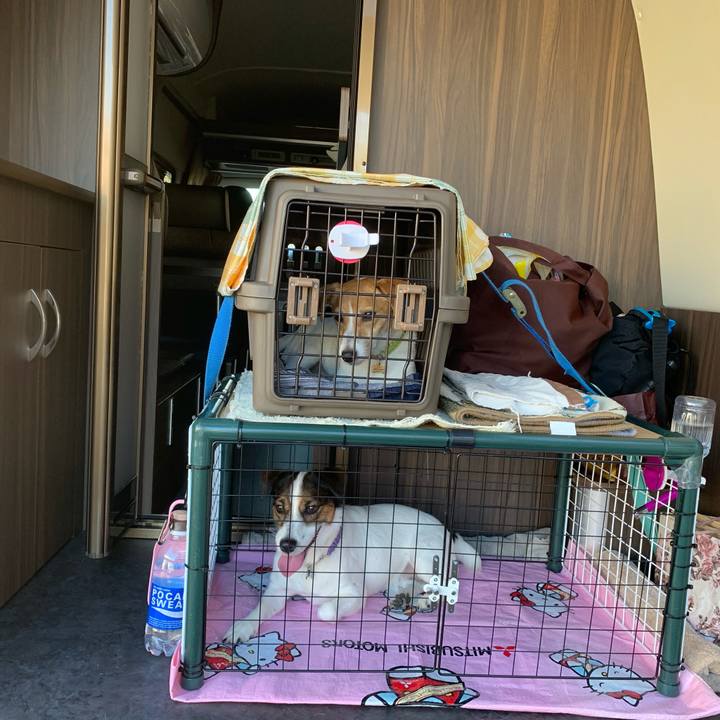 2e5e5211 795a 428d 8fc3 ac58c88cbfc8 1599299775851