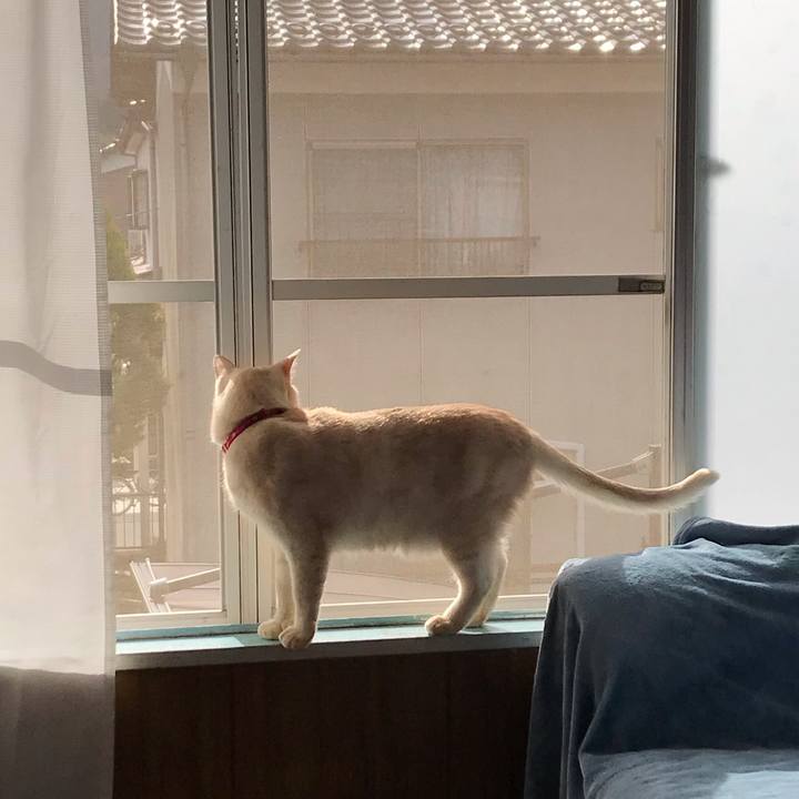 2e5e7f11 73ed 4162 9f97 a15bfe31774e 1579399632477