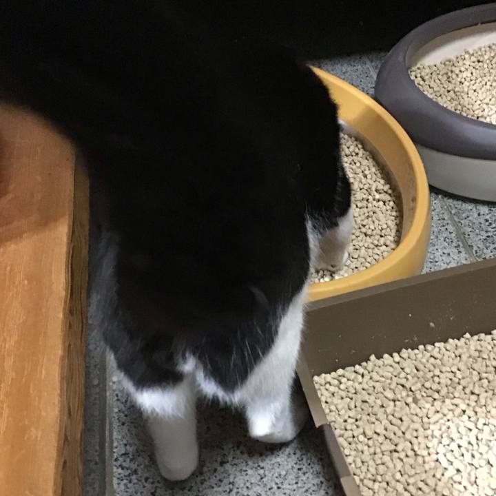 2e5e9b0e a5a1 4198 afc6 0369a5817803 1760866170590