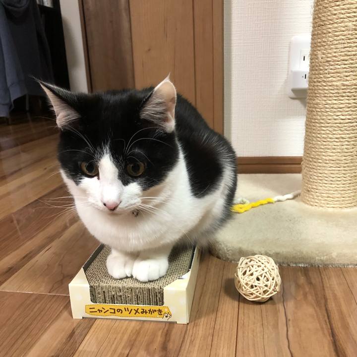 2e5ede23 a3e8 4453 b92d 7b0112d03aab 1618229271700