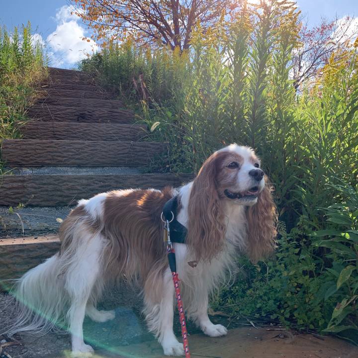 2e5f0024 eb0d 4ca7 a6a6 f1ed2032e022 1571789805859