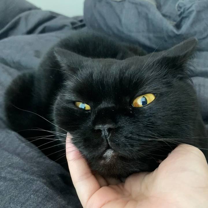 2e5f125d 634f 4c2c 888d 0af642e9195f 1766187303202