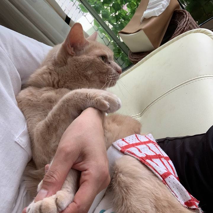 2e5f201d c52e 4f09 a1f6 5a0a052fa452 1596150300677