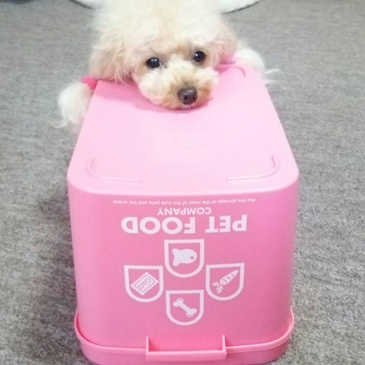 2e5f4cd6 a9b0 4ad3 b255 1f0a8b3b4551 1532169890050