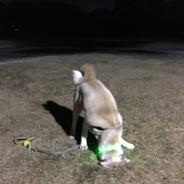 2e5f7b15 647e 48c6 b1f3 2262af5a2143 1515493819904