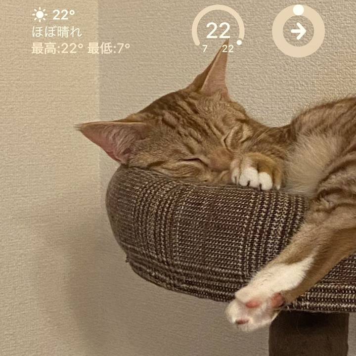 2e5f8325 8940 4ac0 bfe9 e1297a16f086 1680324040918